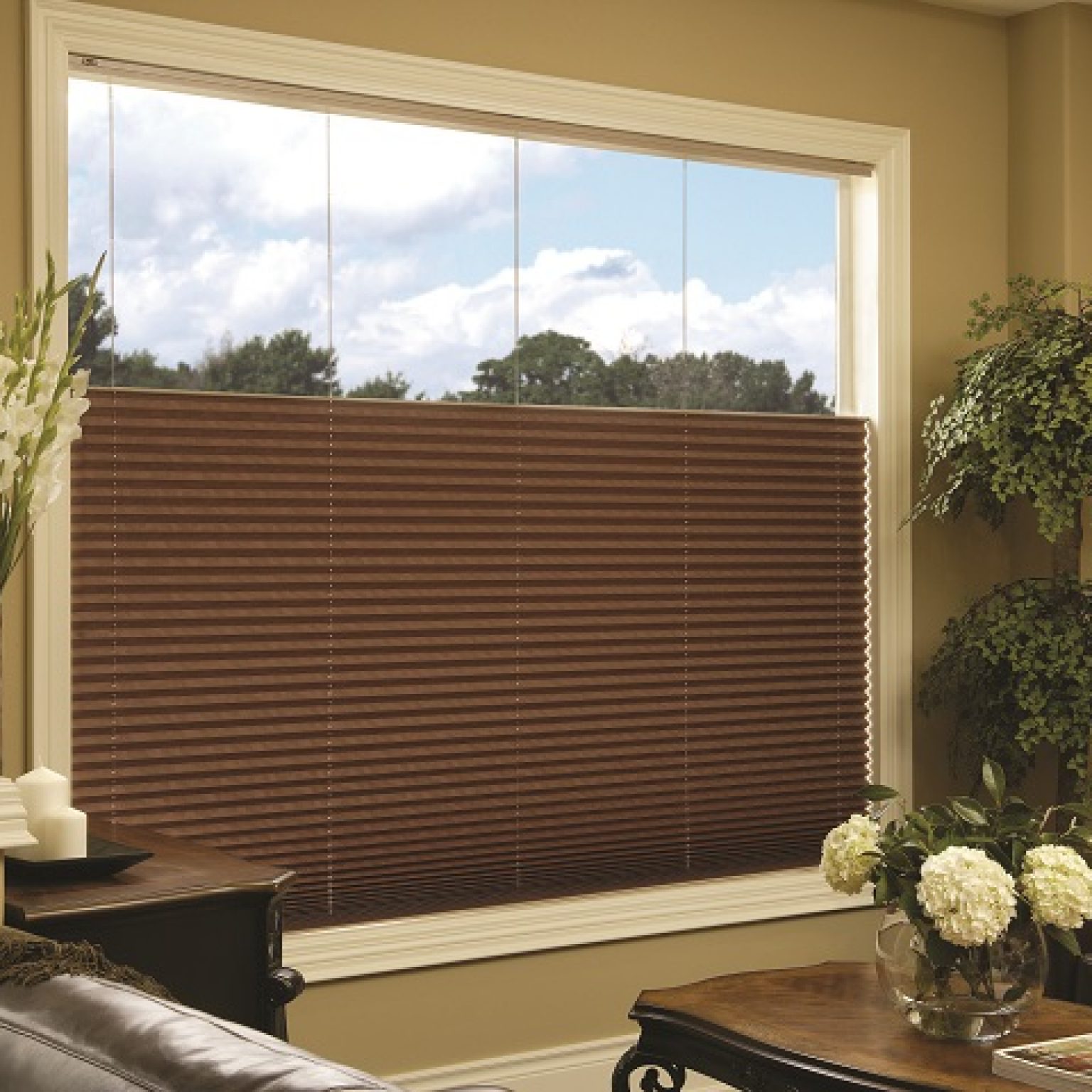 Cellular Shades HNBlinds Ottawa Free Estimate Call Today